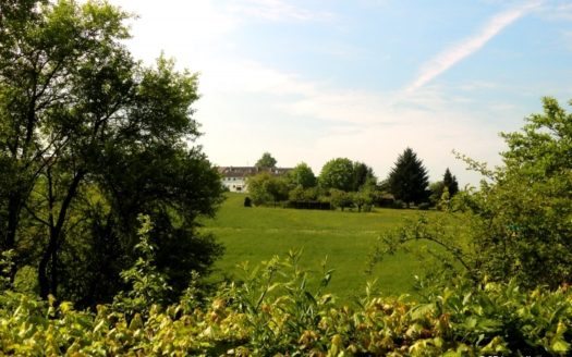Blick über Felder und Wiesen