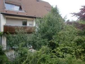 Immobilienmakler Birkach Balkon mit Bäumen und Gaube