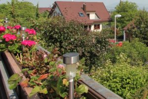 Immobilienmakler Stammheim