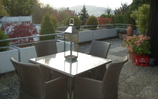 Dunkle Rattanmöbel auf großer Terrasse mit Grünpflanzen