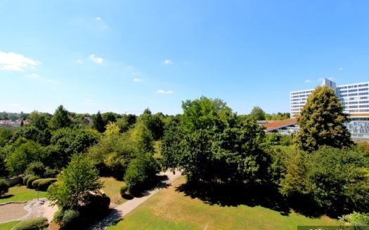 Blick auf Parkanlage, Bäumen und Hochhaus