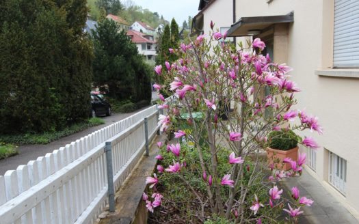 Teilansicht eines Hauses mit blühendem Baum auf kleiner Gartenfläche